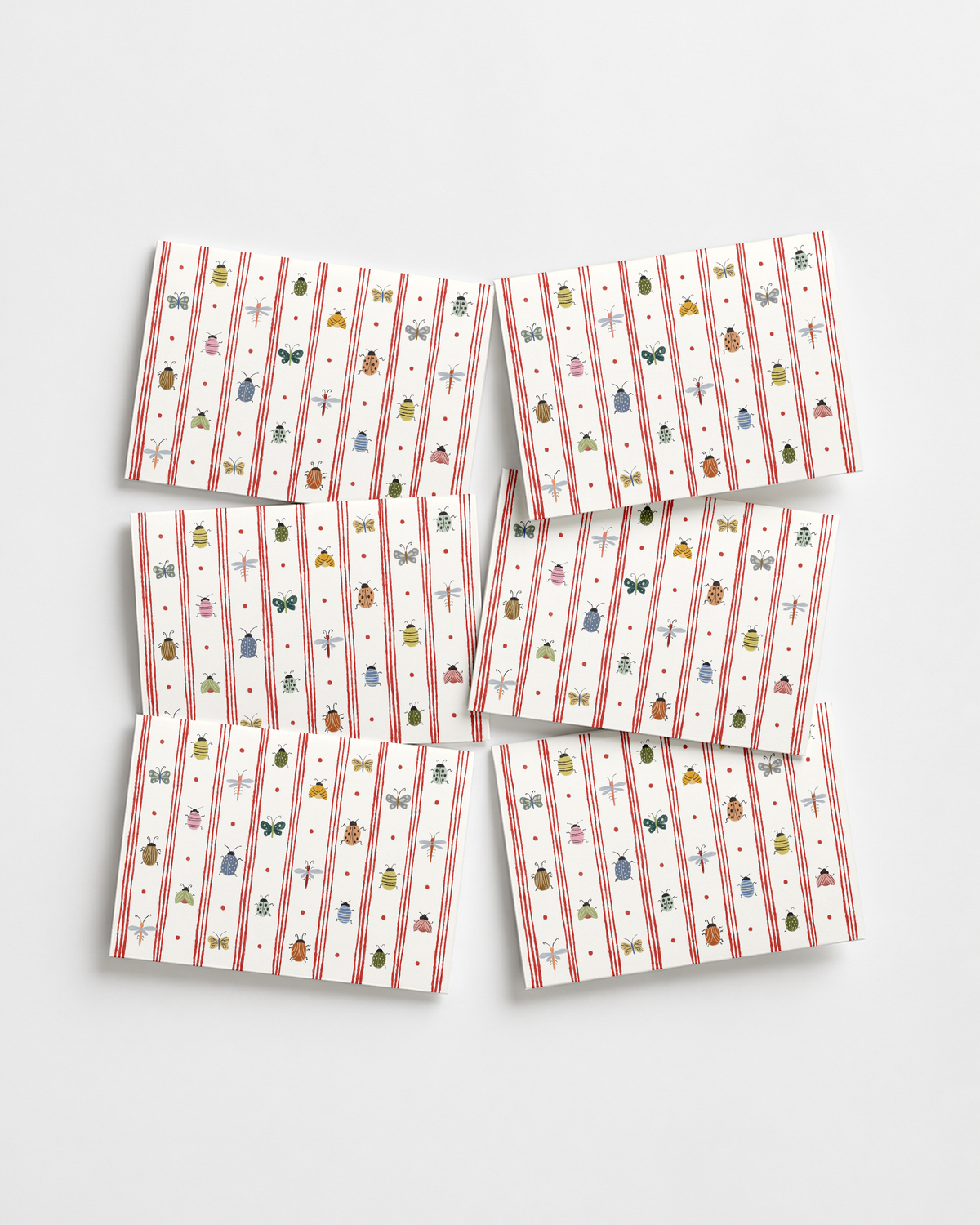 Bug Collection Mini Card - Boxed Set of 6