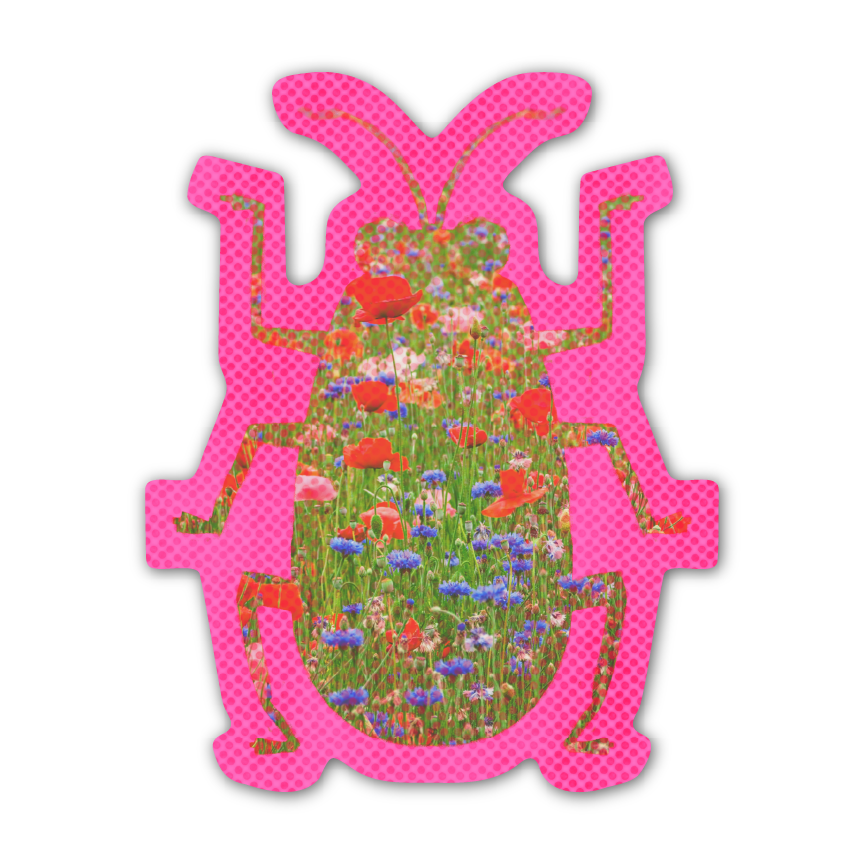 FLOWER BEETLE! Sticker