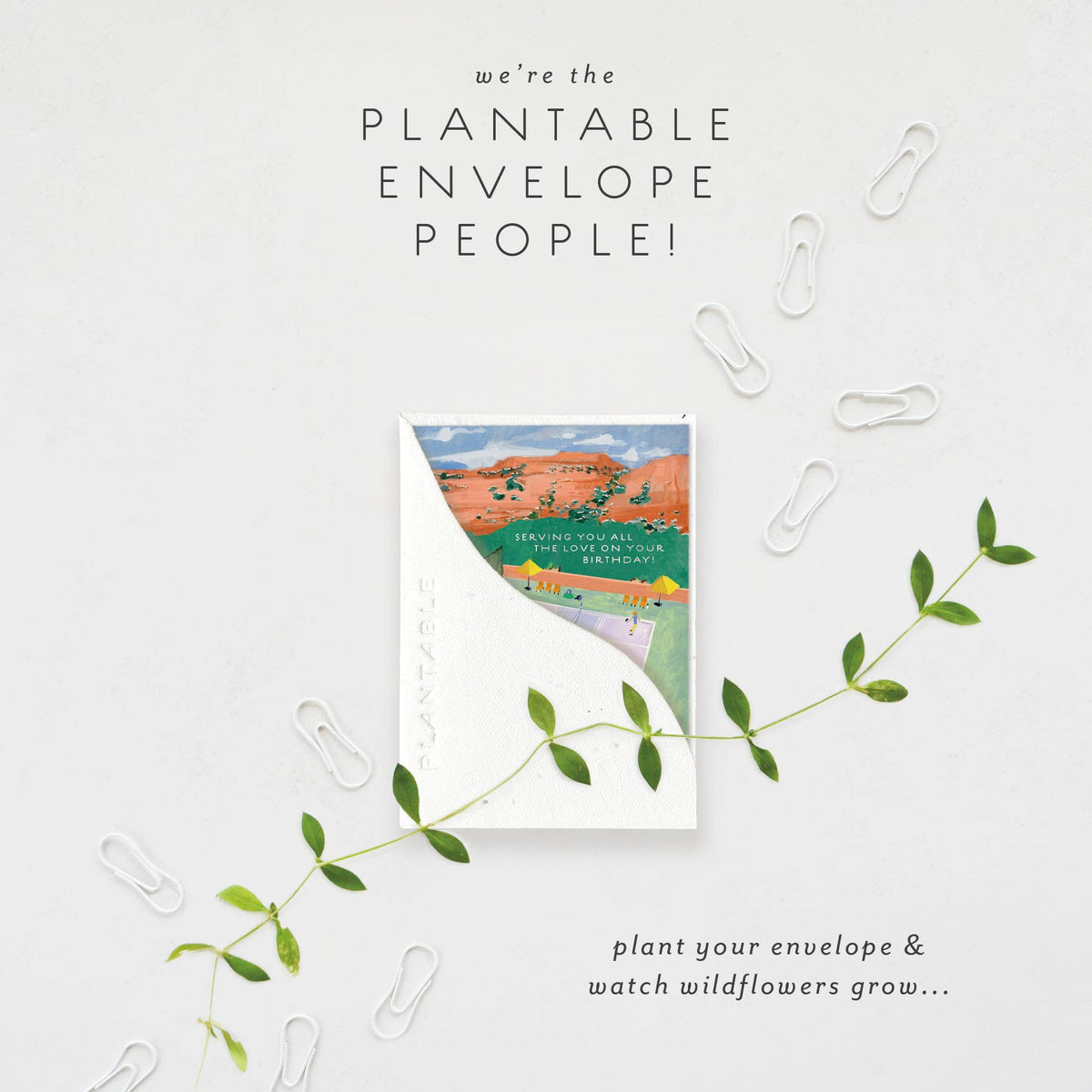 Pickleball Mini Card