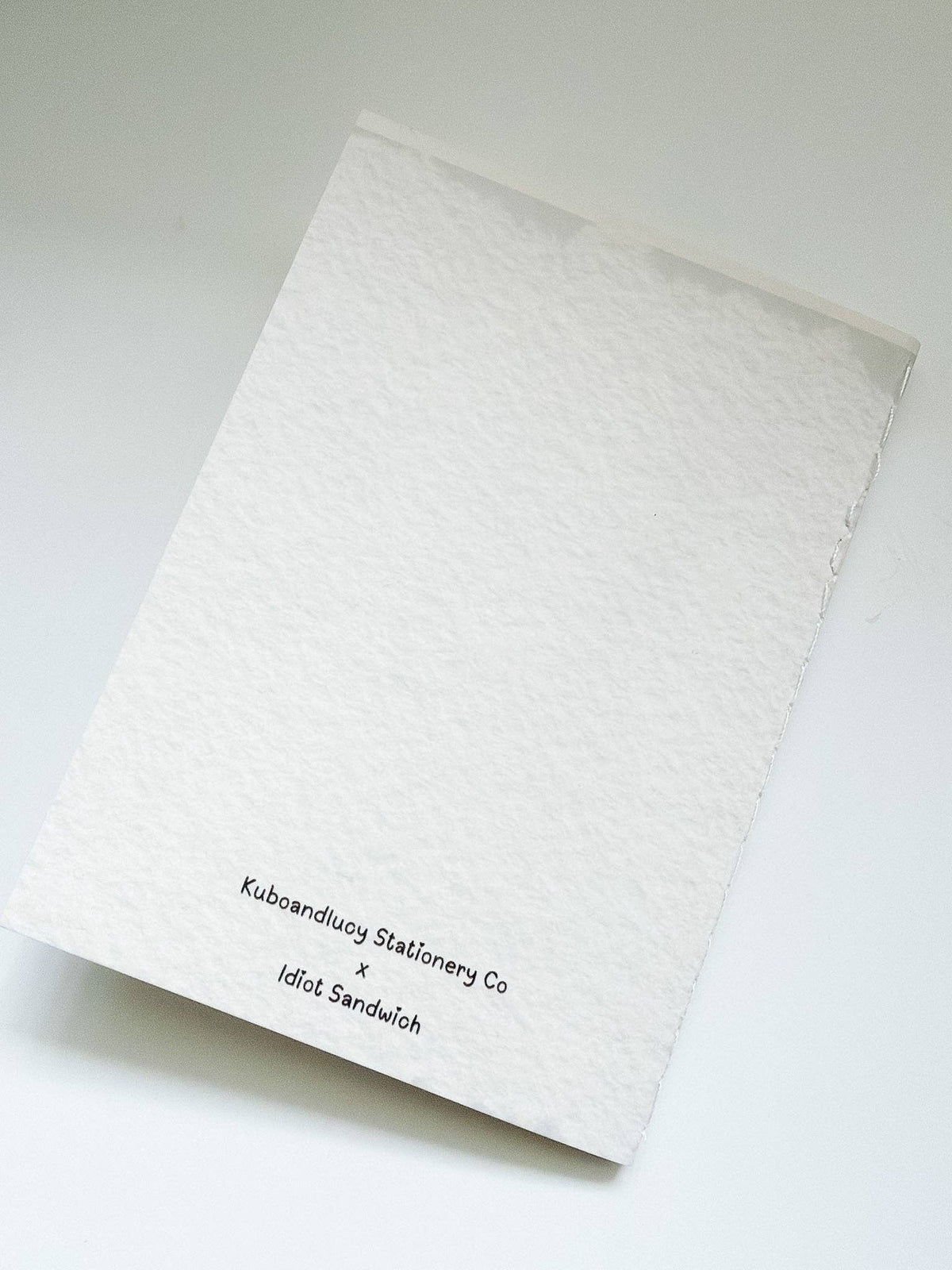 Fountain Pen | Passport Size Notebook