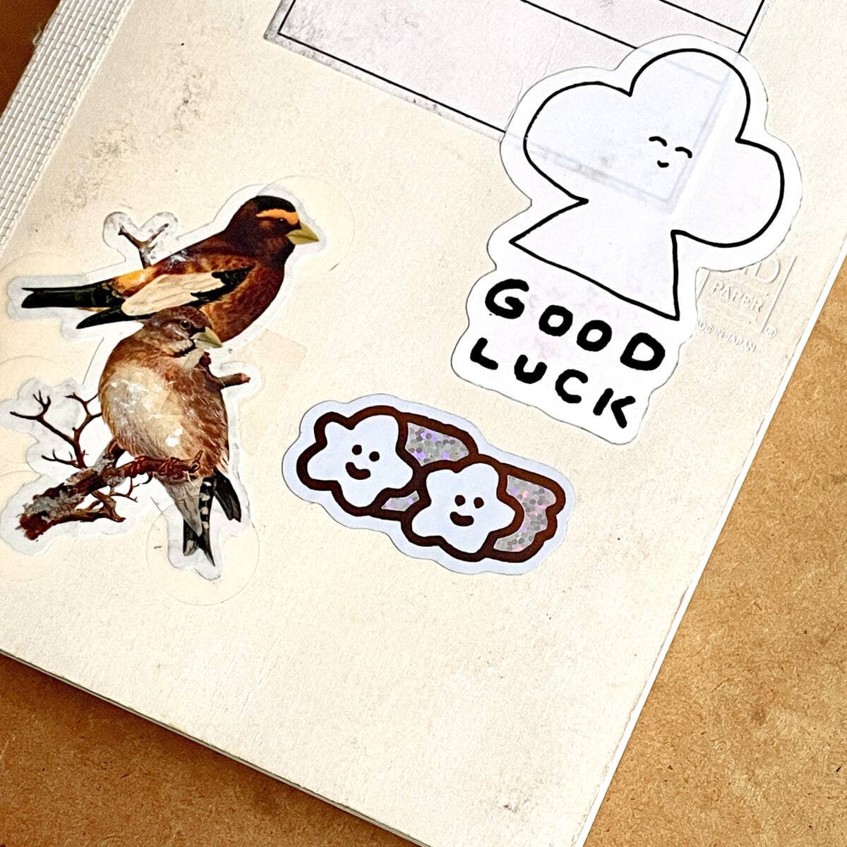 Shooting Star Sticker