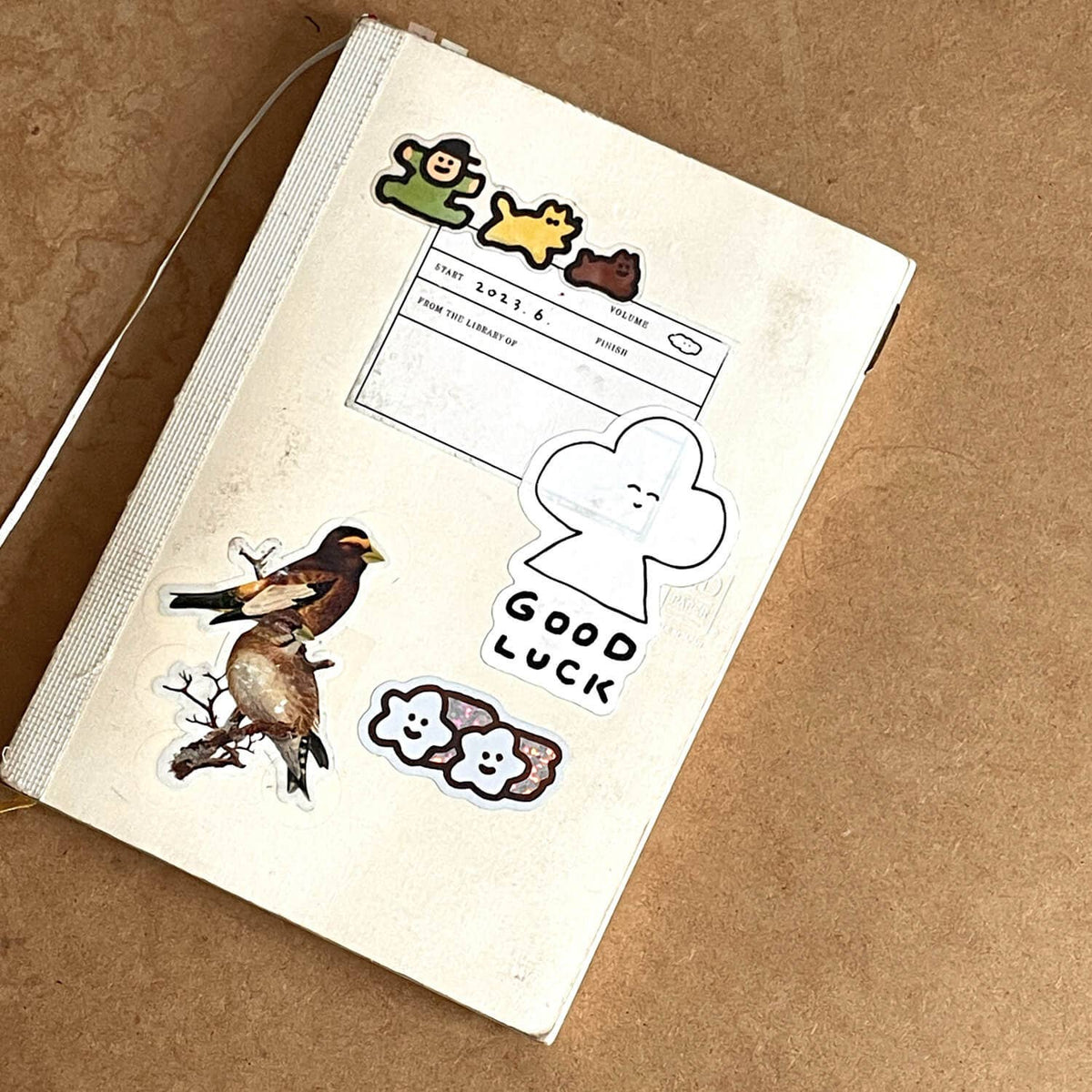 Shooting Star Sticker
